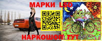 прущие грибы Можга