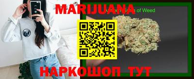 прущие грибы Можга