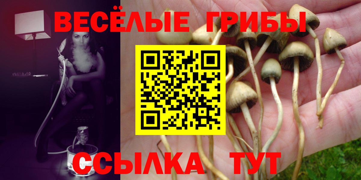 Псилоцибиновые грибы Psilocybe Тавда